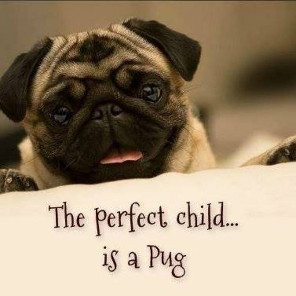 Meet your Posher, Marsha